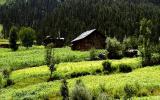 Kashmir "Intifada": India's "Other" Front