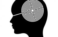 Brain Maze: Inside The Mind