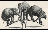 SOS – The Eurozone Can No Longer Save Themselves: Raghuram Rajan