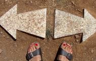 Fiscal Fallacies – How Developed Economies Get Stuck In A Policy Trap: Jeffrey F