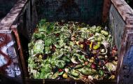 Food Waste Fiasco: Breaking The Gordian Knot Of The World’s Food Supply