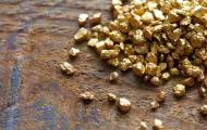 Fool for Gold: Why the Precious Metal Remains a Barbarous Relic: Nouriel Roubini