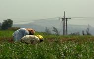 India Union Budget 2011: The Net Effect for Indians and India Inc