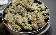 High Hopes: Does Legalised Marijuana Have A Future?