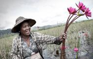 International Sanctions May Ruin Myanmar’s Opportunity For Change: Joseph Stigli