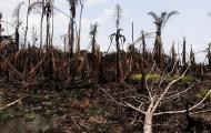 Polluters Must Pay In ‘The New Era Of Responsibility’: Jeffrey Sachs