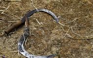 Land Grabbing: 21st Century Colonialism?