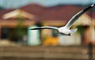 Seven Questions to Ask Before Refinancing Your Mortgage