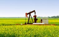 Junior Oil Companies: Making It Big In Canada? – Aroway Energy Interview