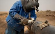 The Great Pipeline Race: Are Europe’s South Stream Fears Rational?