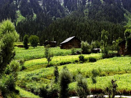 Kashmir "Intifada": India's "Other" Front