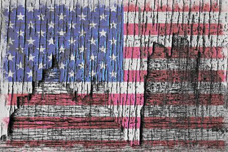 America’s Real Freedoms: by Jeffrey D. Sachs America’s Real Freedoms: by Jeffrey D. Sachs