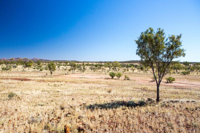 Small businesses in Australia could find financing harder to come by. Small businesses in Australia could find financing harder to come by.