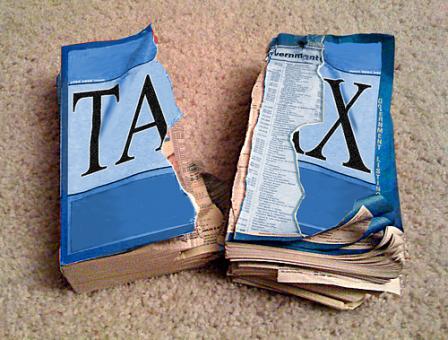 Flat-Lining The Flat Tax: Mitchell Orenstein