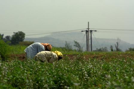 India Union Budget 2011: The Net Effect for Indians and India Inc