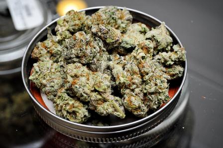 High Hopes: Does Legalised Marijuana Have A Future? High Hopes: Does Legalised Marijuana Have A Future?