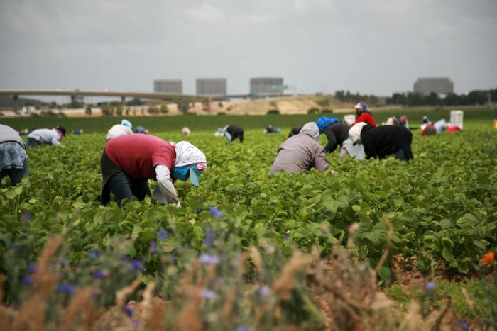 Research seems to counter the argument that immigrants hurt an economy. Research seems to counter the argument that immigrants hurt an economy.