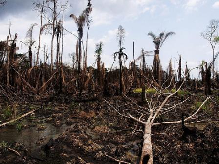 Polluters Must Pay In ‘The New Era Of Responsibility’: Jeffrey Sachs Polluters Must Pay In ‘The New Era Of Responsibility’: Jeffrey Sachs