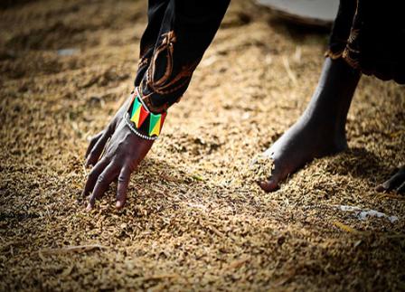 Is Africa Sowing Seeds Of Its Own Subprime Crisis?: Joseph Stiglitz & Hamid Rashid Is Africa Sowing Seeds Of Its Own Subprime Crisis?: Joseph Stiglitz & Hamid Rash