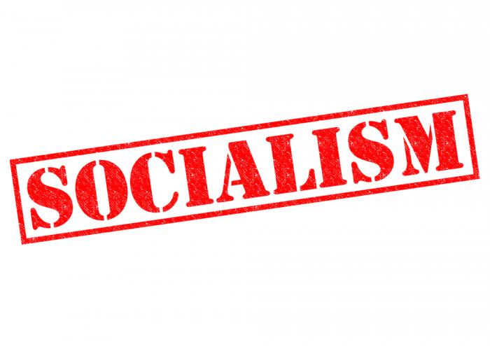 Image result for socialism