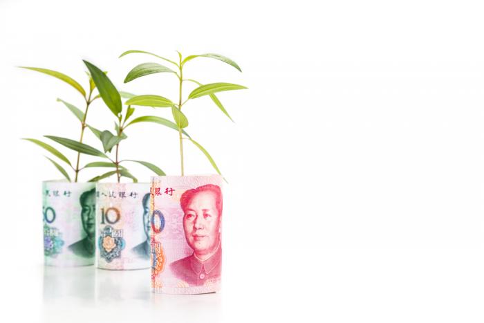 The SDR appears to have more propaganda value for China than anything else. The SDR appears to have more propaganda value for China than anything else.