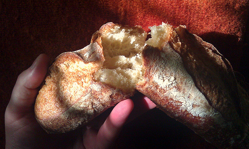 Your Daily Bread is Goldman Sachs’ Hottest Commodity Your Daily Bread is Goldman Sachs’ Hottest Commodity