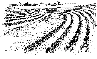 AGRICULTURE AND THE RURAL ECONOMY