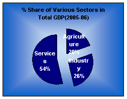 Share GDP 2005-2006