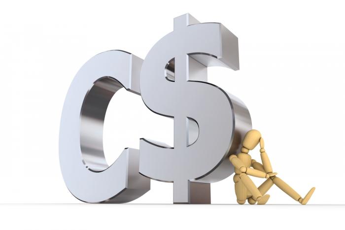 One can use a simple multi-factor model to explain the Canadian dollar. One can use a simple multi-factor model to explain the Canadian dollar.