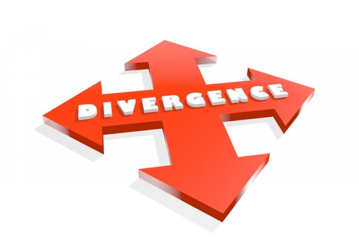 Diverging monetary policies and negative interest rates stir the pot. Diverging monetary policies and negative interest rates stir the pot.