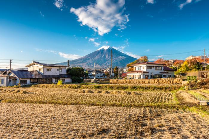 Abe's co-op reforms should help Japan's agricultural sector competitiveness. Abe's co-op reforms should help Japan's agricultural sector competitiveness.
