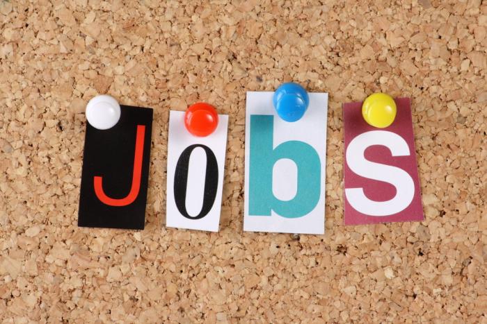 The largest firms in Africa are providing the most jobs. The largest firms in Africa are providing the most jobs.