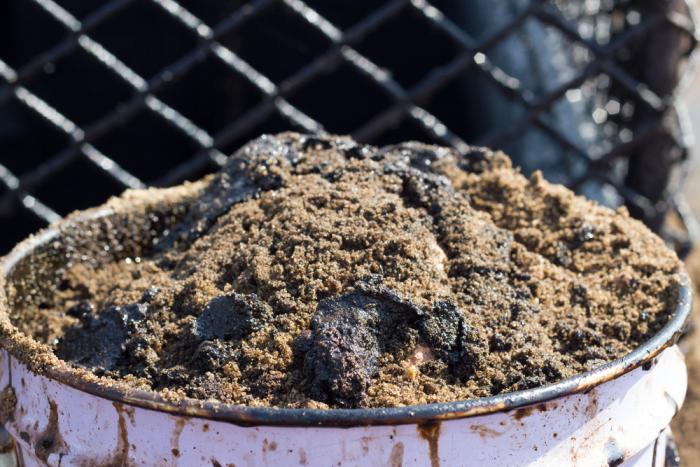 Was it oil or an asteroid that killed the dinosaurs? Was it oil or an asteroid that killed the dinosaurs?