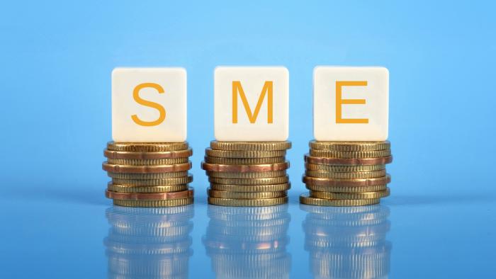 Asian SME policy lessons show government support can be a good thing. Asian SME policy lessons show government support can be a good thing.