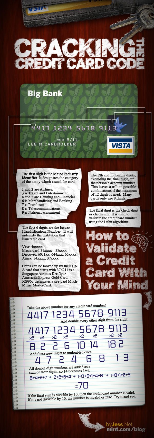 Credit Card Fraud Infographic