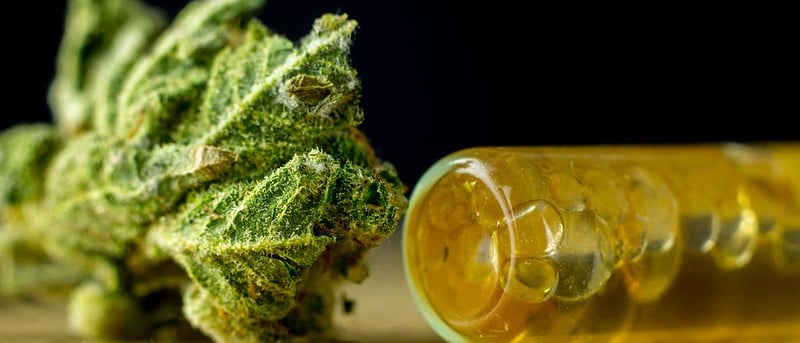 tilray stock