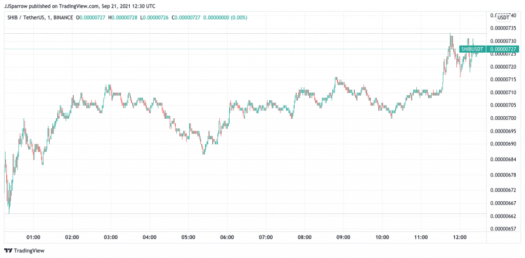 SHIBA INU price charts September 21