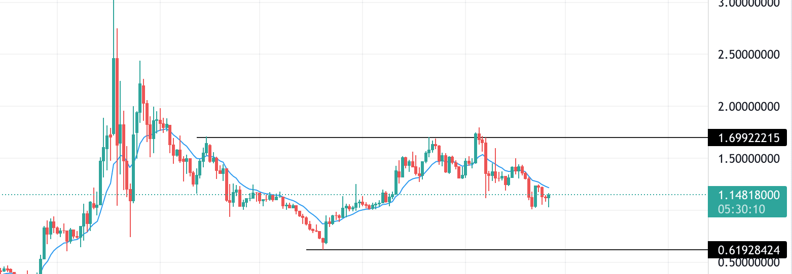 polygon technical analysis