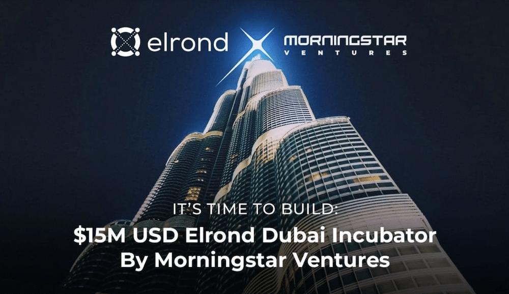 elrond morningstar ventures investment