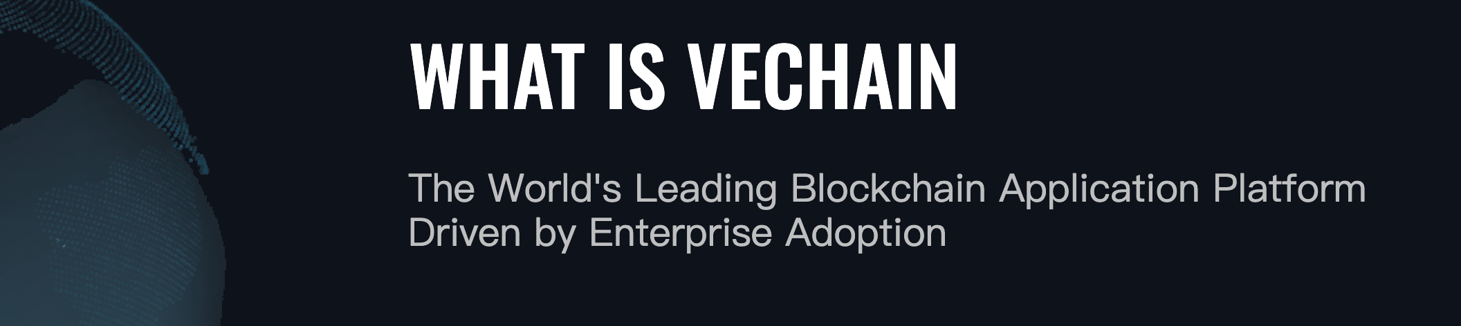 vechain platform