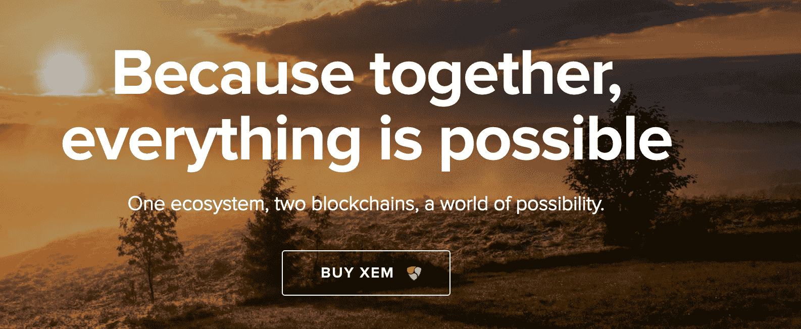 XEM price prediction
