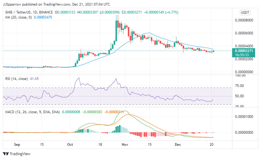 buy SHIB