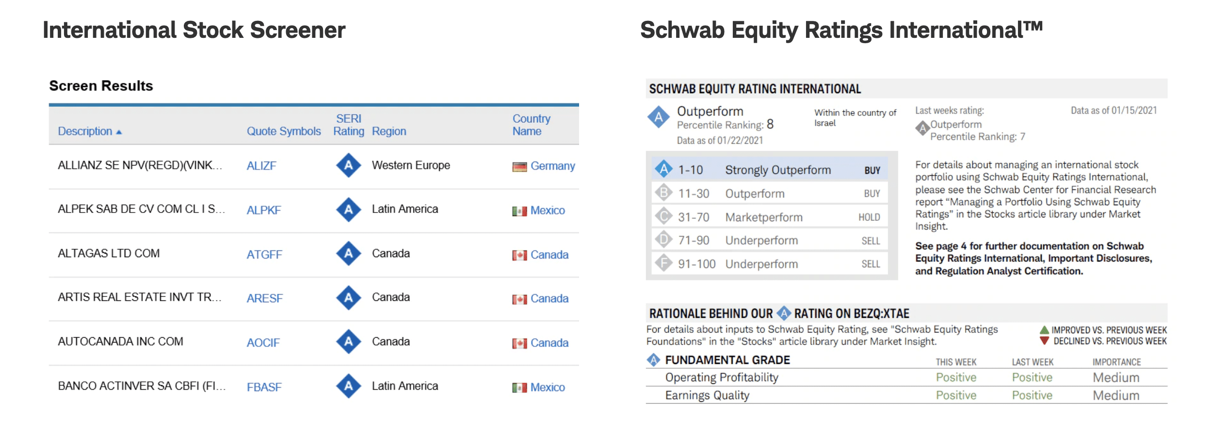 Schwan international markets