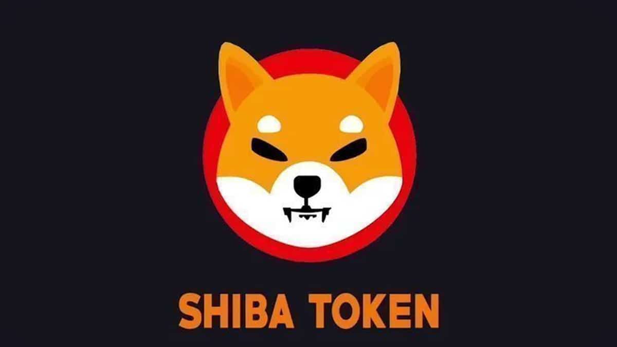 Shiba Inu