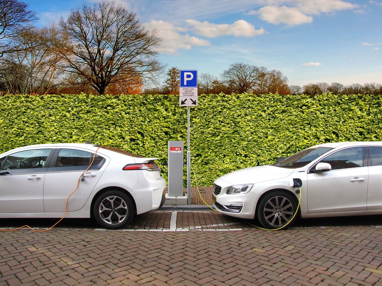 best ev stocks to buy in december