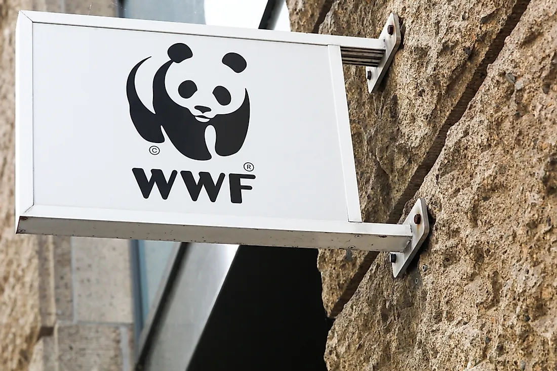 WWF officials explain the organization’s stand on global sustainable finance