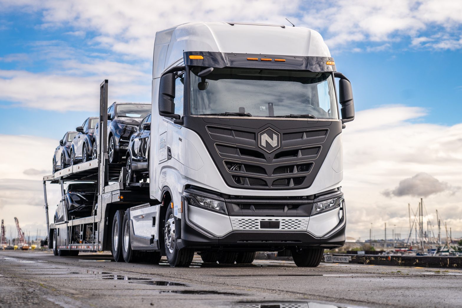 nikola