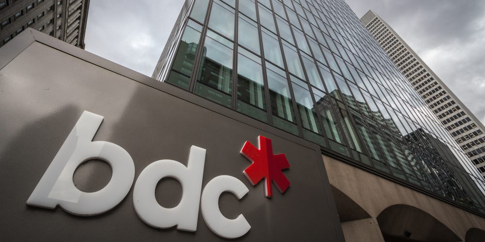 BDC Bank Brings Climate Solutions To The Finance Industry