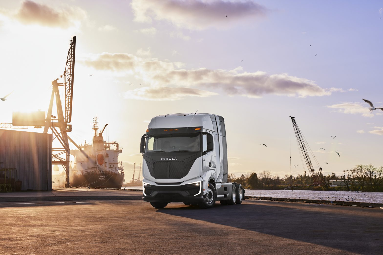 nikola