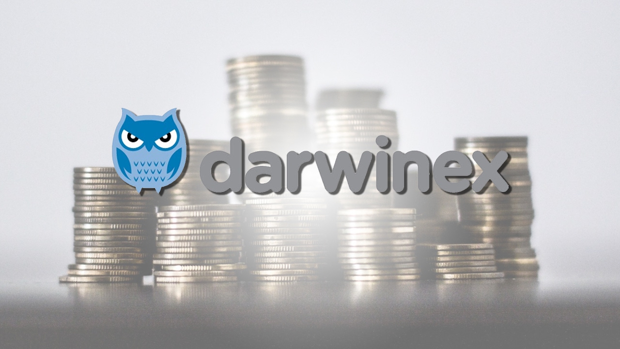 Darwinex Profits Increase 70% In The UK As Trader Equity Remains Constant